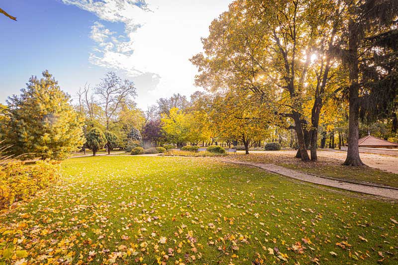 Családi wellness Budapest közelében