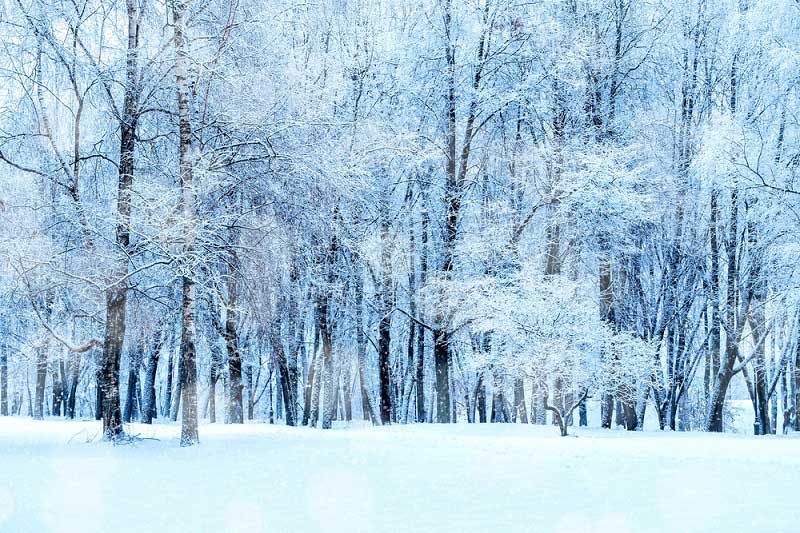 Fenyőharaszt Kastélyszálló